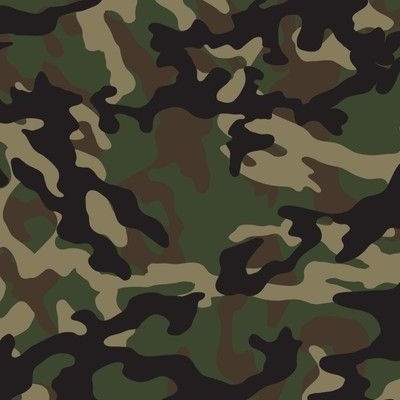 https://garden.spoonflower.com/c/10335633/p/f/l/bi0k-EGMsxbZaWhU1GCi6RgPMjWO0meHClMKifLp9EO84hEsU5JXcL5r0g/Forest%20Camo.jpg