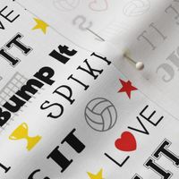 Volleyball Love It Dig It Spike It