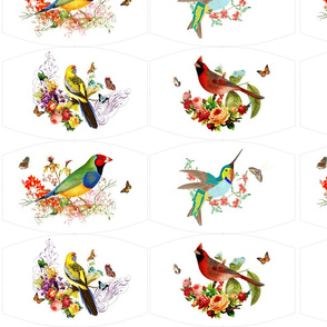 Cardinal Parrots Hummingbird Finch 4 Birds Collection