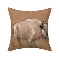 White Spirit Buffalo Bison Bull for Pillow