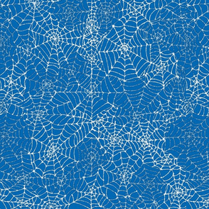 Spider Web Blue
