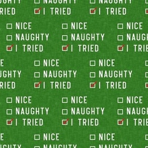 Naughty/Nice/I tried - Christmas - green - LAD20