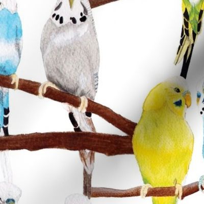 Watercolour budgie pattern