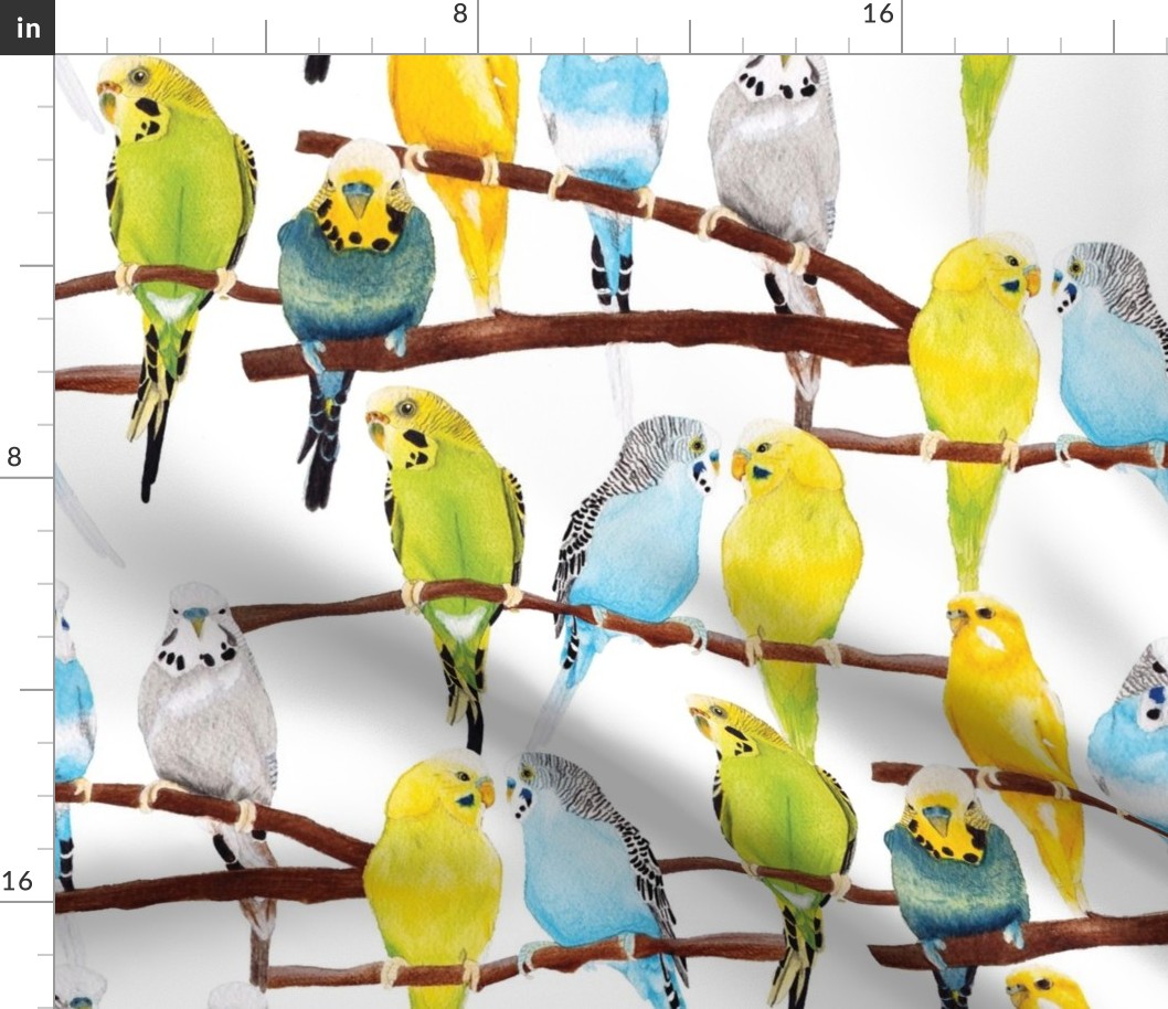 Watercolour budgie pattern