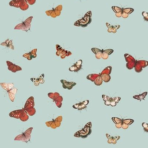 Butterflies Wallpaper v2 Dusty Blue