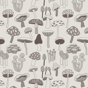 Mushrooms Galore