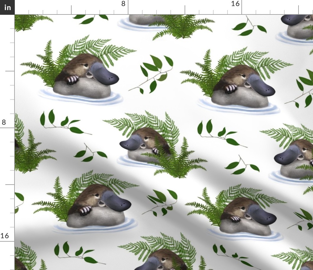 Platypus & Ferns White