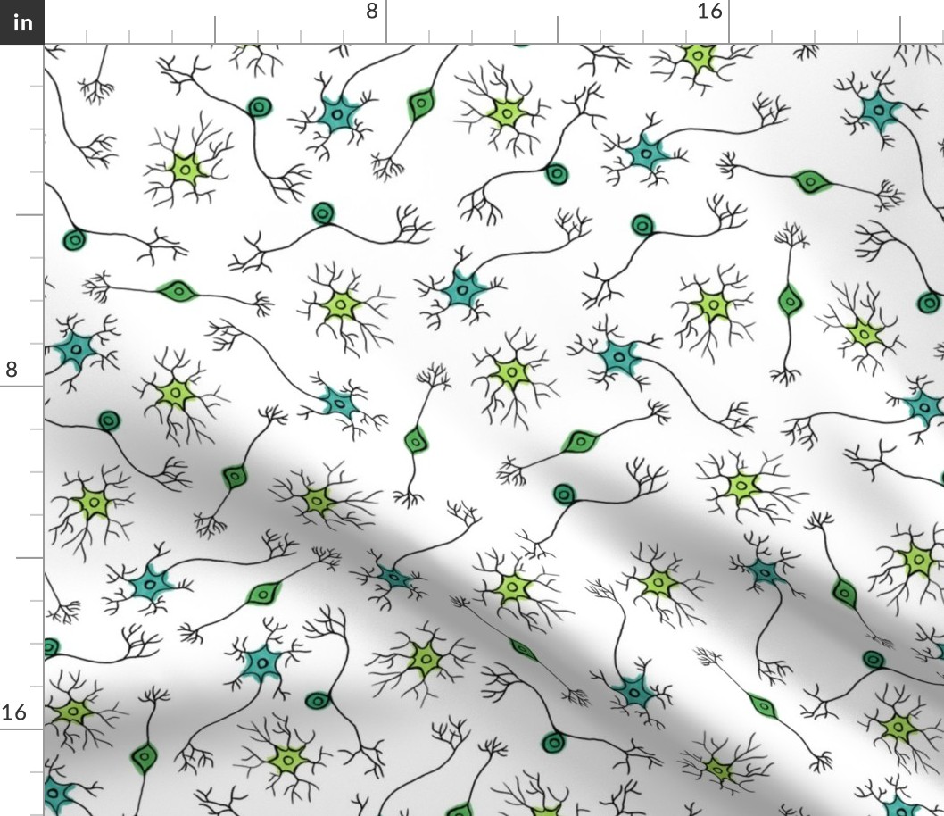 Neurons on White