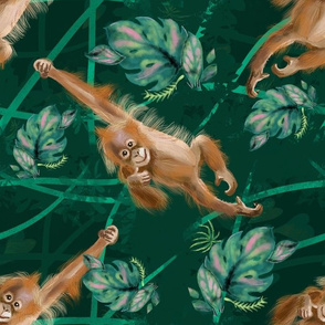 Orangutan green jungle