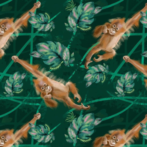 Orangutan_Flor_Rosada(1)