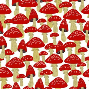 Amanita mushrooms