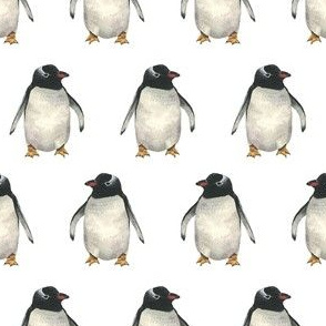Penguin Pals - Rows - Medium