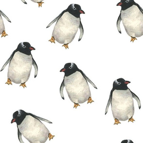 Penguin Pals - White - Medium