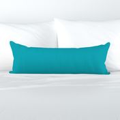 Turquoise Teal blue - Solid color