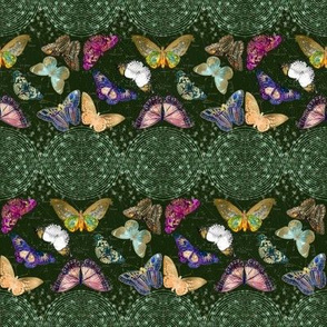 Ornate butterflies with scrollwork circles on green small