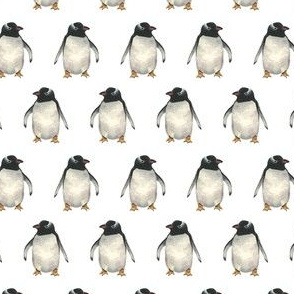 Penguin Pals - Rows - Small