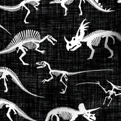 dinosaur bones // black linen