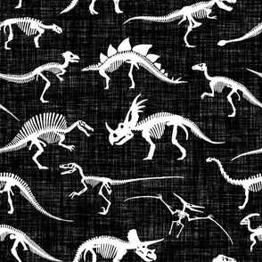 dinosaur bones // black linen