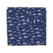 dinosaur bones // cobalt linen