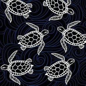 midnight sea turtles 