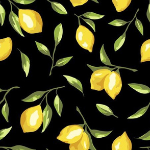 lemons - black background