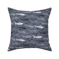 stealth tiger sharks (blue-gray small)