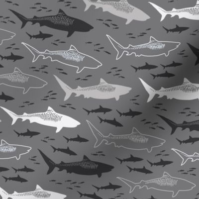 stealth tiger sharks (cool gray small)