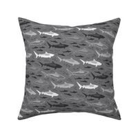 stealth tiger sharks (cool gray small)