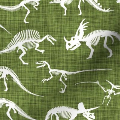 dinosaur bones // crocodile linen