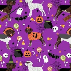 gsp halloween fabric - german shorthaired pointer - purple