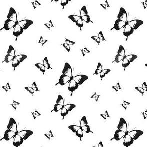 butterflies in black on white