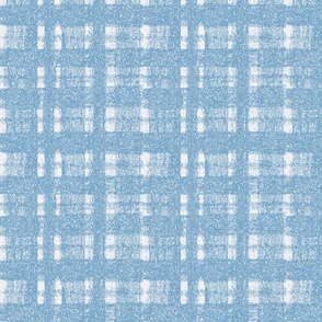 Wedgewood blue and white plaid