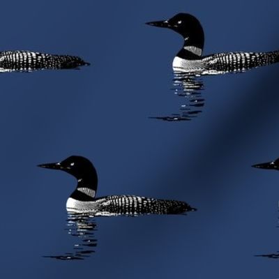 Loon silhouette - black and white on navy