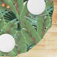 TROPICAL BANANA LEAVES white