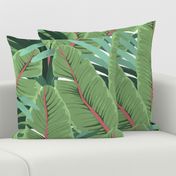 TROPICAL BANANA LEAVES white