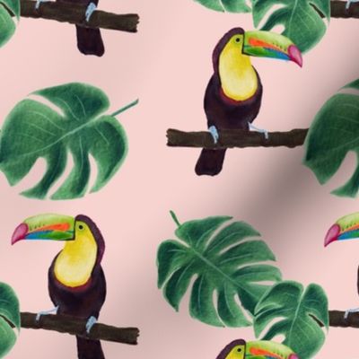 Toucan and Monstera Deliciosa