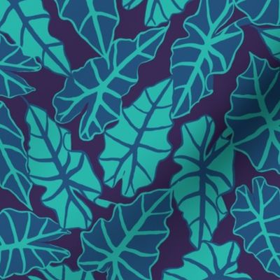 Alocasia amazonica jungle midnight XL by Pippa Shaw