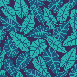 Alocasia amazonica jungle midnight XL by Pippa Shaw