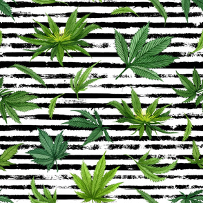 Watercolor Marijuana leaves on a stripe background - large scale