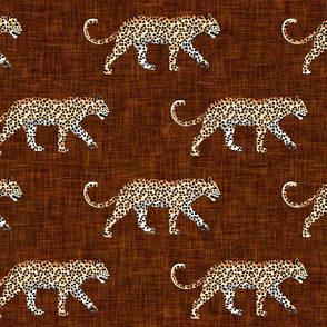 Leopards - walking - rust - LAD20