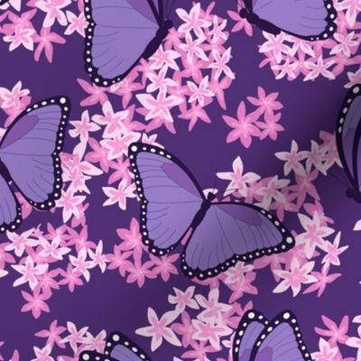 Purple and Pink Butterfly Floral