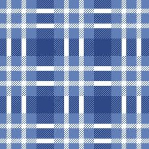 Blue checked seamless pattern design - tartan plaid