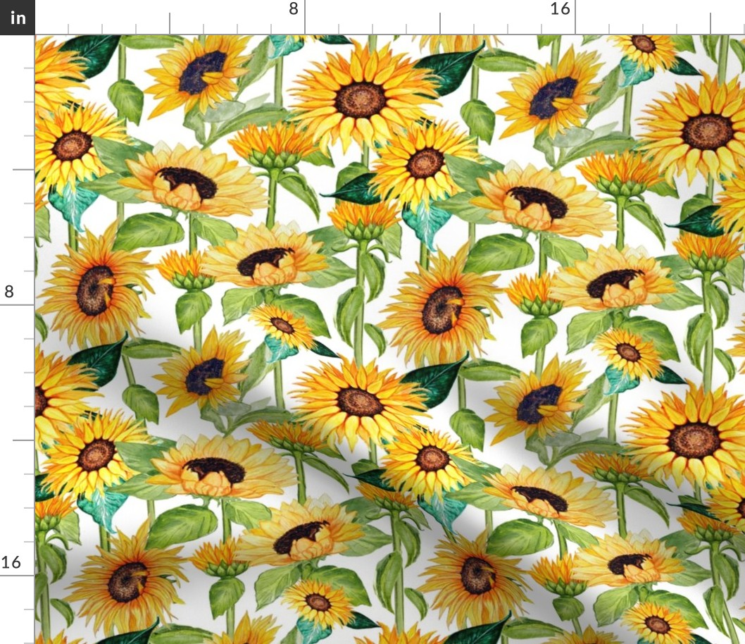 sunflower watercolor floral