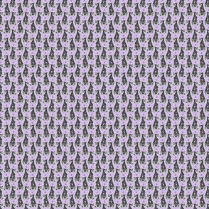 Tiny sitting Australian cattle dog - paw print purple