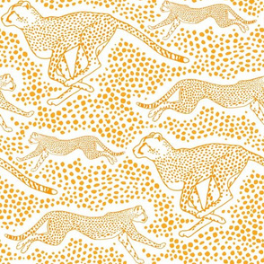 Chasing Cheetahs - Orange on white 