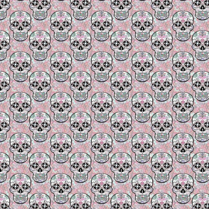 skulls  pastel pink