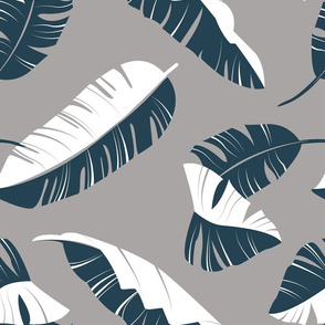 Normal scale // In the shade of banana leaves // dark grey background white and navy blue leaves