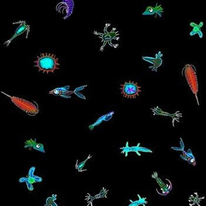  Deep Sea Plankton Pattern rb on black