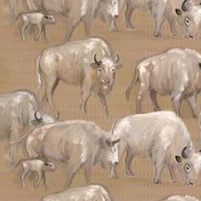 White Spirit Buffalo Bison Herd on Dashed Texture