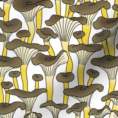 Yellow Foot Mushrooms